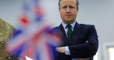 UK Ready to Strike Again If Houthi Attacks Continue, Cameron Suggests