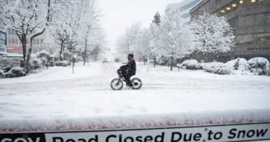 All Vancouver, Fraser Valley Schools Shut for Second Day as Winter Weather Persists