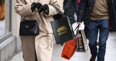 Statistics Canada Reports Retail Sales Down 0.2% to $66.6 Billion in November