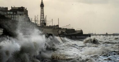 Storm Isha Batters Britain and Ireland, Killing 2 Motorists and Leaving Many Thousands Without Power