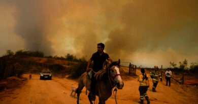 Forest Fires Rage on in Central Chile, Killing at Least 64