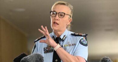 Queensland Top Cop to Stand Down, Says Not a Scapegoat