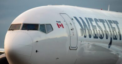 WestJet Flight Diverts to Winnipeg After Passenger Tries to Open Door