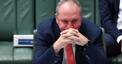 ‘I Made a Mistake’: Barnaby Joyce Blames Alcohol, Medicine Mix for Canberra Incident