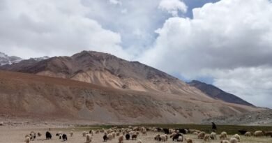 Soldiers Versus Shepherds: Indian Shepherds Stand Up To Chinese Military