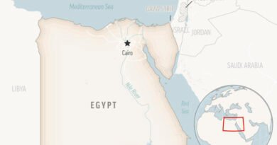 Truck Crashes Into Passenger Vehicles in Egypt’s Alexandria Leaving 15 Dead, Officials Say