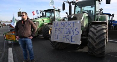 Farmers’ Protests Escalate Ahead of EU Summit Amid Growing Discontent