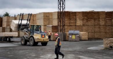 Increase in US Softwood Lumber Duties ‘Entirely Unwarranted,’ Trade Minister Says