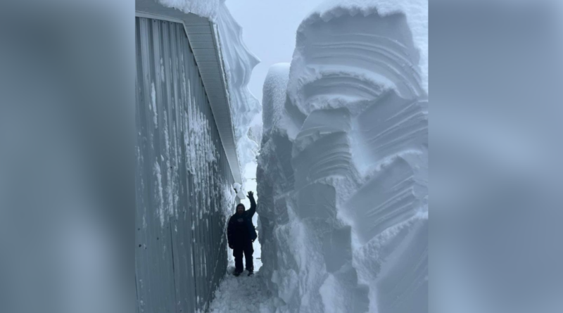 Nova Scotia Residents Still Digging Out After Storm Drops 150 CM of Snow