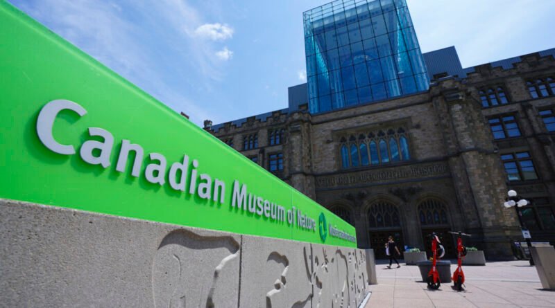 Climate Activists Spray Paint on Canadian Museum of Nature’s Replica Dinosaur