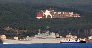 Ukrainian Military Claims It Sank Russian Landing Ship in Black Sea