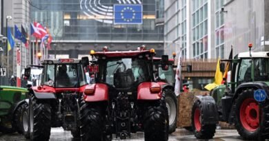 Belgian Farmers Renew Protests as EU Agriculture Ministers Meet