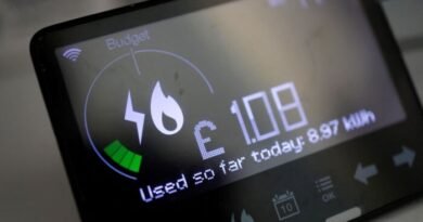 Ofgem Plans: Smart Meter Customers Face Time-of-Day Pricing