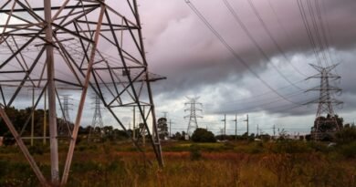 Australia’s Transmission Projects Permitted to Avoid ‘Uncomfortable Scrutiny’: Think Tank