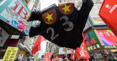 UK, EU Condemn Hong Kong’s New National Security Law