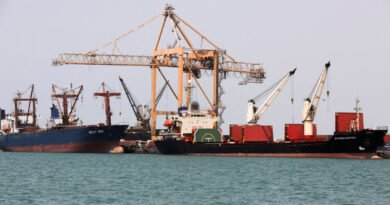 Ships Entering Yemeni Waters Must Obtain Permit: Houthi