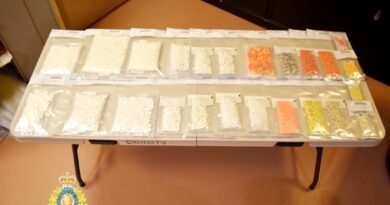 RCMP Seizes ‘Safer Supply’ Pills in 2 Busts, Says It’s an ‘Alarming Trend’