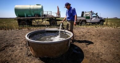 Farmers Struggling to Keep Up With ‘Constantly’ Changing Environmental Laws: Peak Body