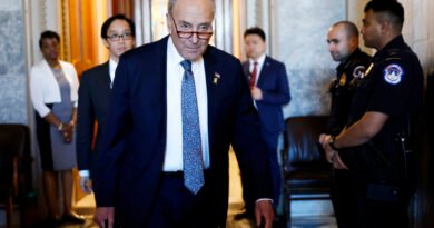 Schumer Reportedly Rejected Netanyahu’s Request to Talk With Senate Democrats