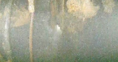 Images Taken Deep Inside Melted Fukushima Reactor Show Damage, but Leave Many Questions Unanswered