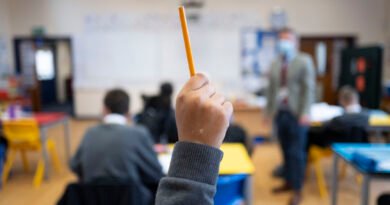Welsh Schools Let Children ‘Socially Transition’ Without Telling Parents, Report Finds
