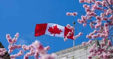 Best Locations in Canada to See Cherry Blossoms