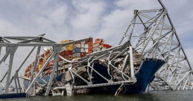 Largest crane on US East Coast called in to assist in clearing Baltimore bridge and ship wreckage | US News