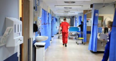 18,000 Pest Problems Reported by NHS Hospitals in England