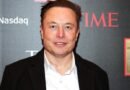 Elon Musk deems allowing large numbers of unvetted individuals into the US as irrational
