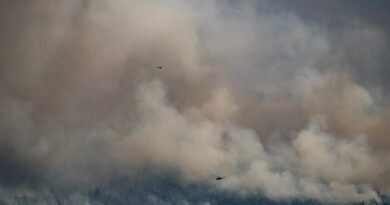 ‘Trees Going up Like Roman Candles’ as Fire Season Starts Early in BC, Alberta