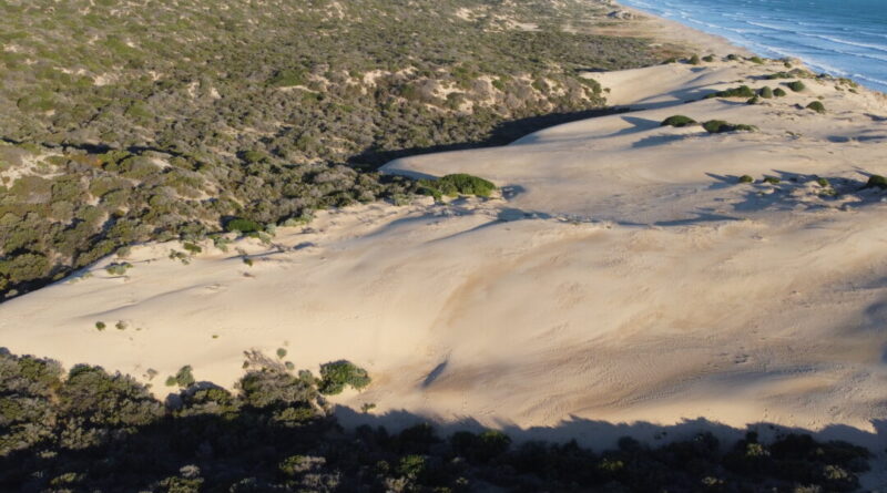 Australian Dunes Retreating From Ocean at Alarming Rate