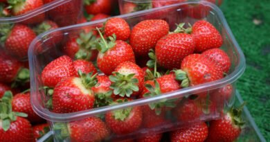 ‘Forever Chemicals’ Present in 95 Percent of Strawberries