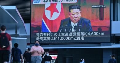 The Hereditary System of North Korea’s Kim Family: Analysis