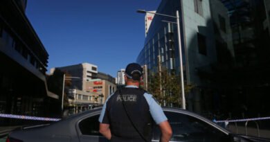 Security Guard Weapons Under Review After NSW Stabbings