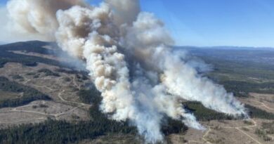 Alberta and BC Have Already Battled Hundreds of Blazes in Early Start to Wildfire Season