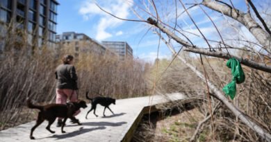 Bin There, Dumped That: Trash Cans to Be Reinstalled Along Montreal’s Lachine Canal