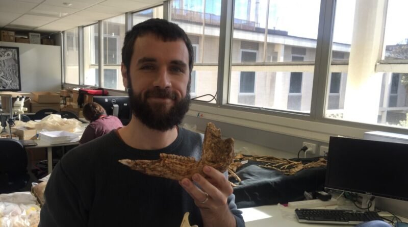 Researcher Uncover Largest Ever Species of Prehistoric Kangaroo