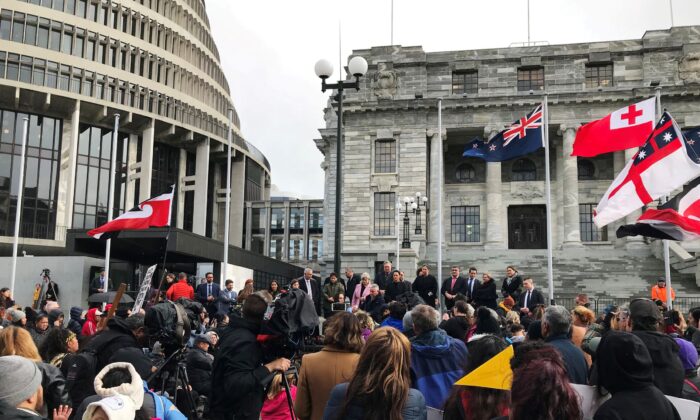 NZ Deputy Leader Decries ‘Separatist Hate-Filled’ Speech by Māori Party MP