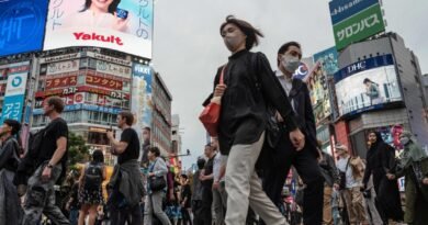 Japan Sees Significant Rise in Wealthy Chinese Immigrants