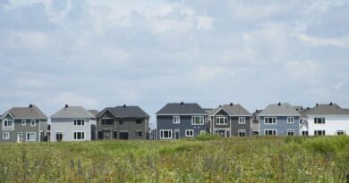 Regulations, ‘Fragmented’ Construction Sector Holding Back Housing Starts: CMHC