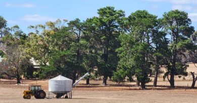 Australian Farmland Values Expected to Slow After Decade-Long Growth