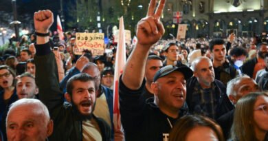 Georgia Parliament Shuts Doors Amid Protests over ‘Foreign Agents’ Bill