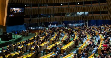UN General Assembly Backs Palestinian Bid for Membership