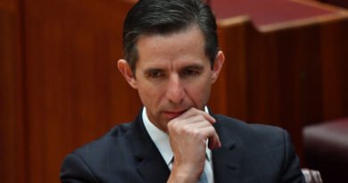 Labor Faces Calls to Reveal ‘Secret Manual’ for Avoiding Senate Questions