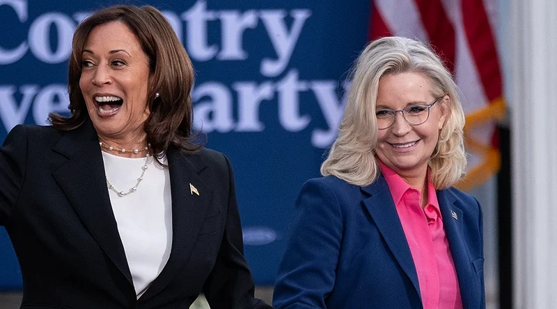 Liz Cheney backs Democrats in two closely contested House races, according to One America News Network