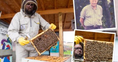 Beekeeper Finds Late Grandpa’s Long-Lost Hives Are Still Alive, Creates a Honey Firm