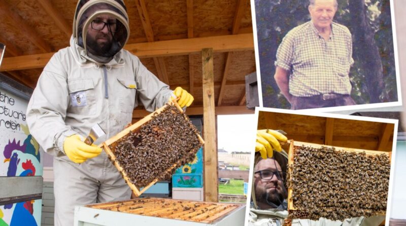 Beekeeper Finds Late Grandpa’s Long-Lost Hives Are Still Alive, Creates a Honey Firm